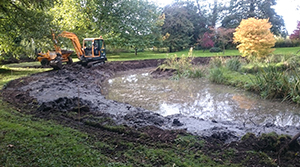 We are making a water garden